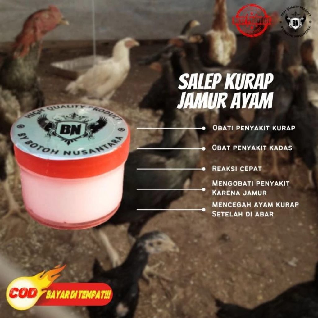 Doping ayam jawara obat salep KOREPBN+ ampuh atasi Maslah jamur korep burasan pada muka ayam penyaki