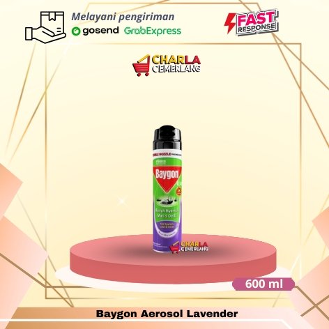 Baygon Aerosol 200ml & 600ml (All Variant)