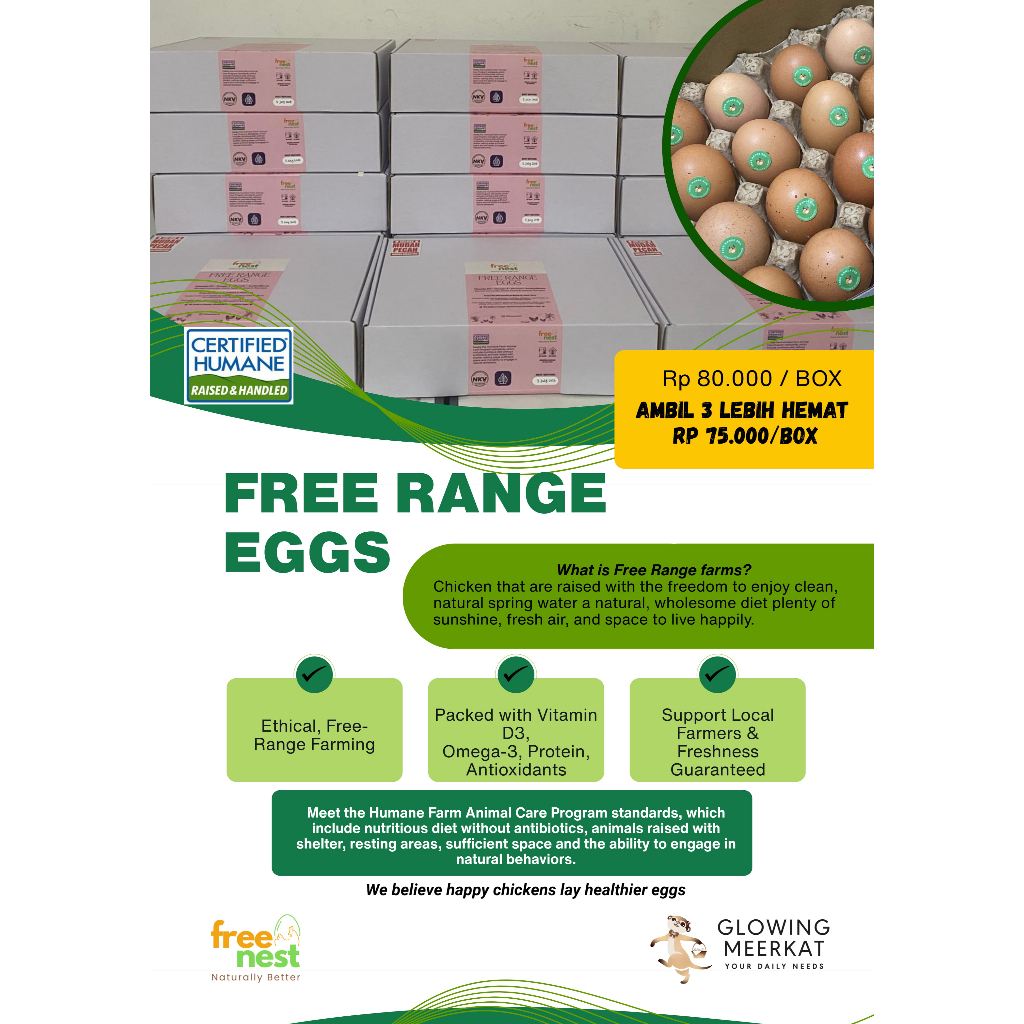 

Telur Ayam Free Range Sehat, Alami, Dan Kaya Nutrisi