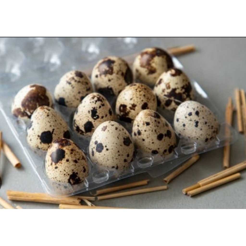 

Telur puyuh murah fresh 12 butir