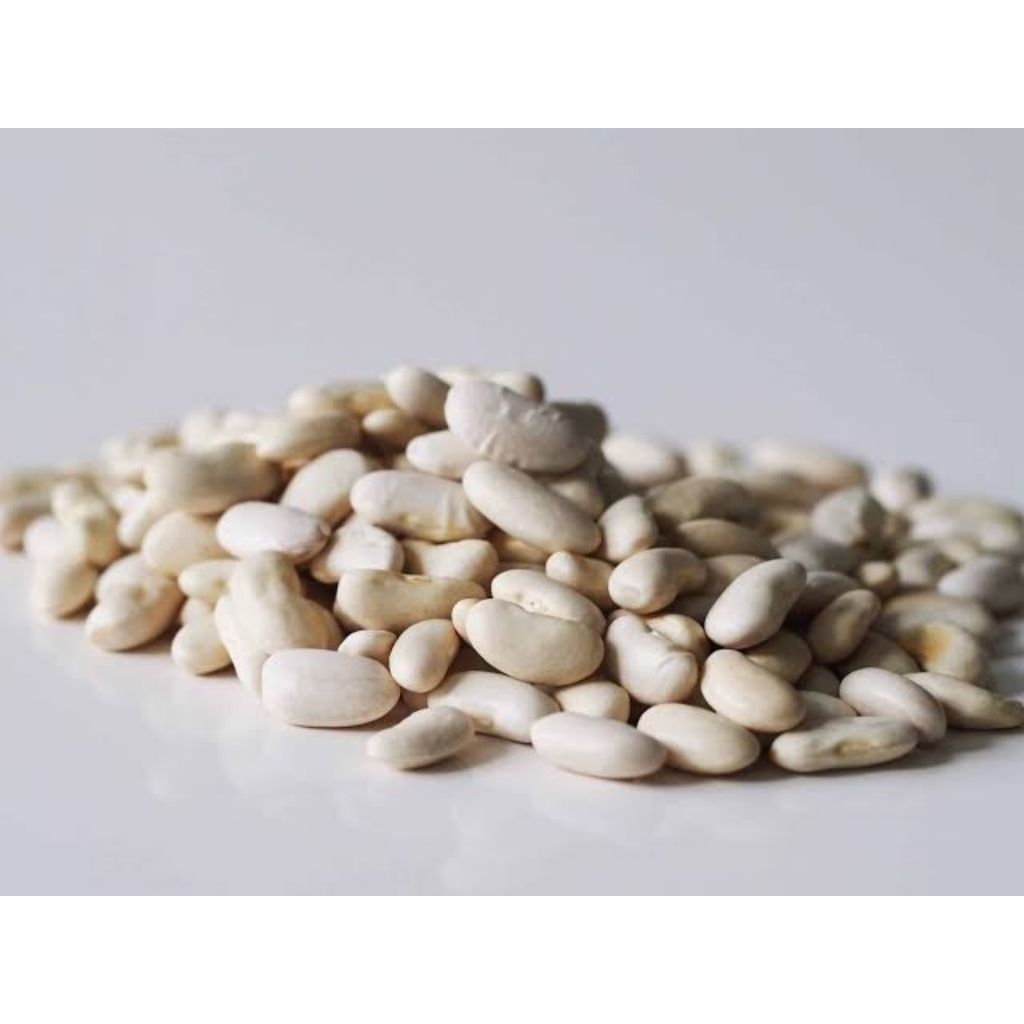 

Cannelini Bean / White Kidney Bean / Kacang Buncis / White Bean