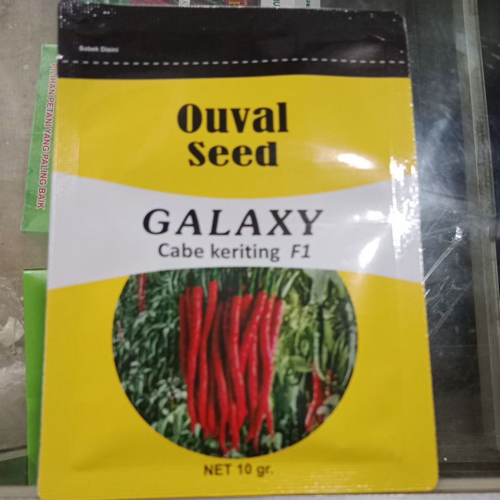 GALAXY- Bibit cabe keriting F1