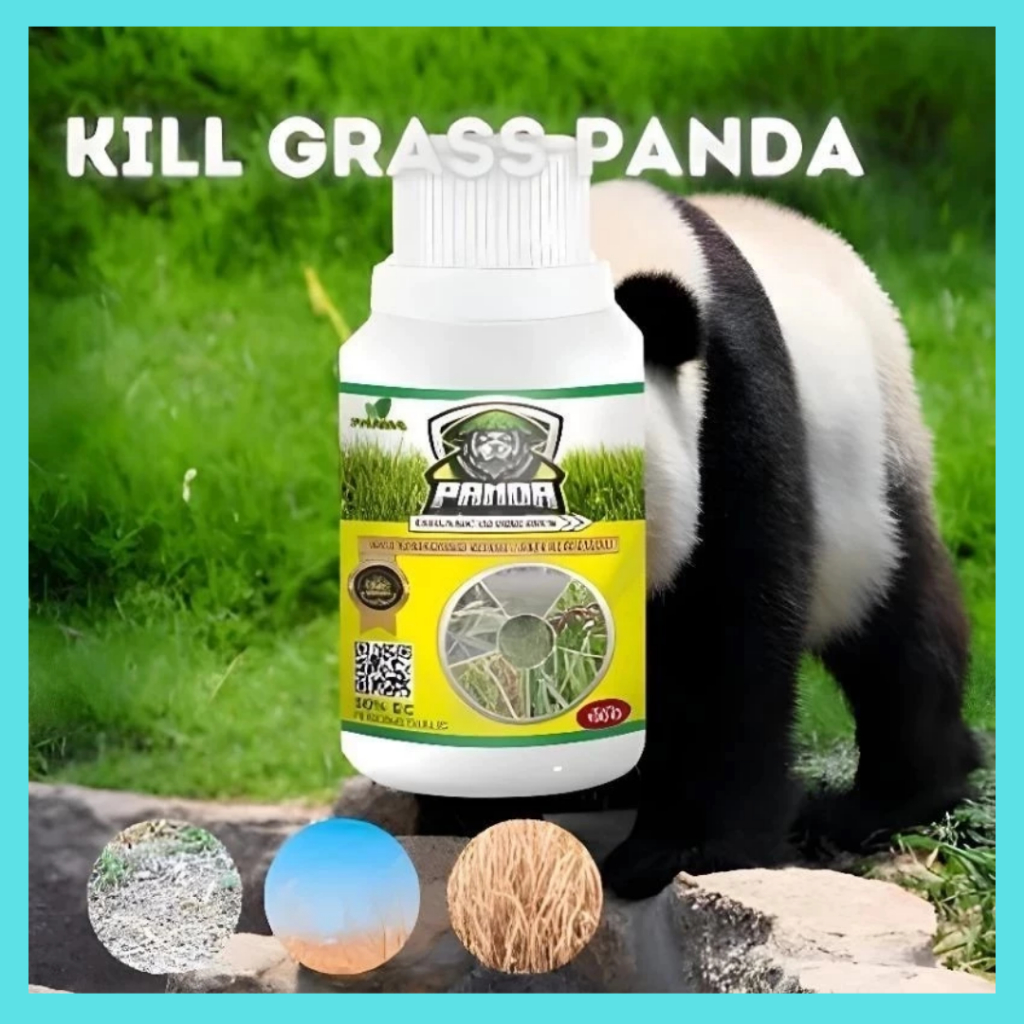 Kill Grass Panda Bubuk Racun Rumput Pembasmi Gulma Bambu dan Pohon Besar Tanpa Merusak Tanaman