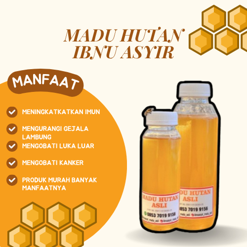 

Madu Hutan Asli Ibnu Asyir 250ml (300g) Meningkatkan imunitas tubuh mengatasi penyakit Lambung Maag Program Hamil