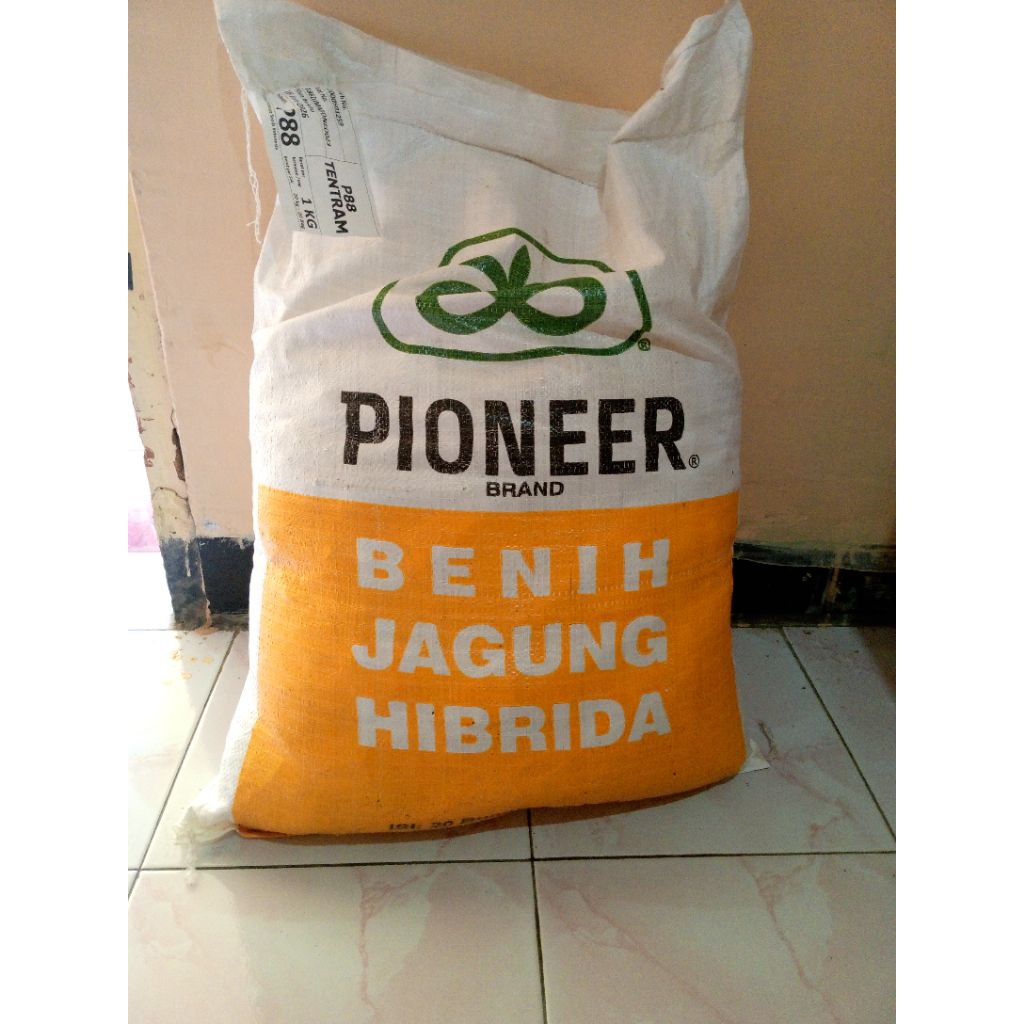 Benih Jgung Hibrida P88 Tentram