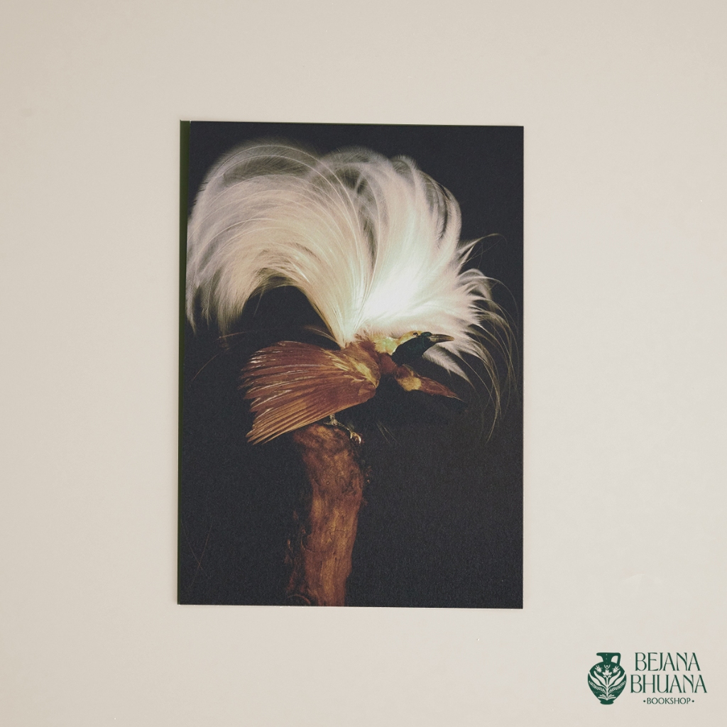 

BIRD POST CARD | JAPAN POST CARD | KARTU POST JEPANG | BEJANA MERCHANDISE