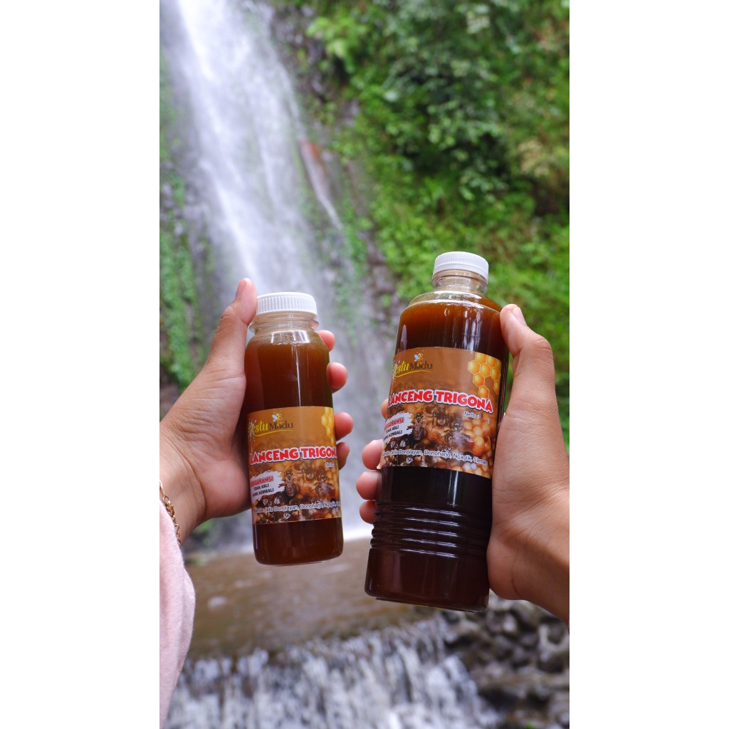 

Madu Murni Lanceng Trigona Asli 100% Tanpa Campuran 100 gr, 350gr, 500gr, dan 1000gr