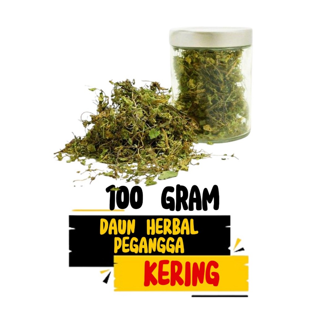 

Promo daun pegangga kering 100 gram