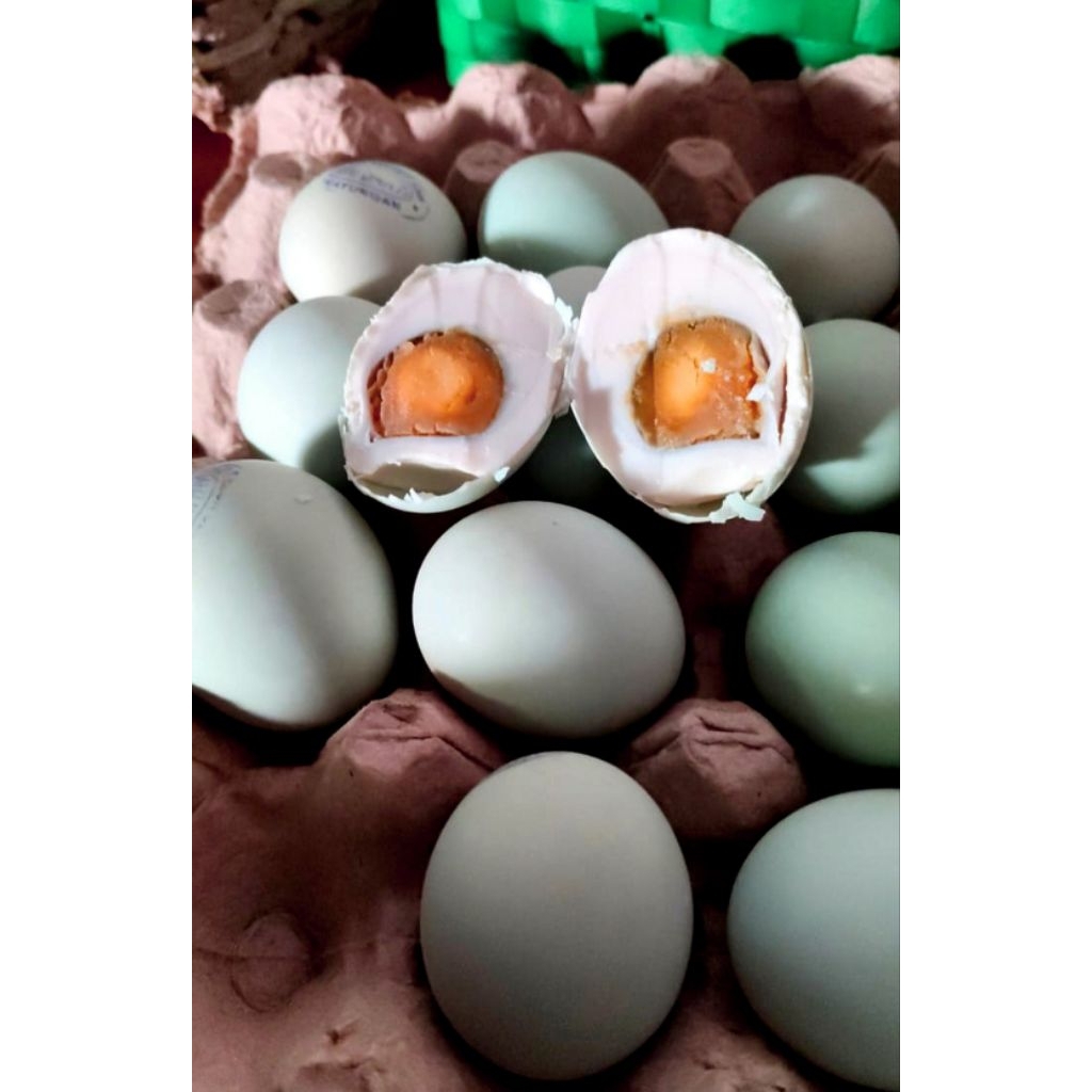 

(ISI 10) TELUR ASIN MASIR FRESH KHAS KEDIRI