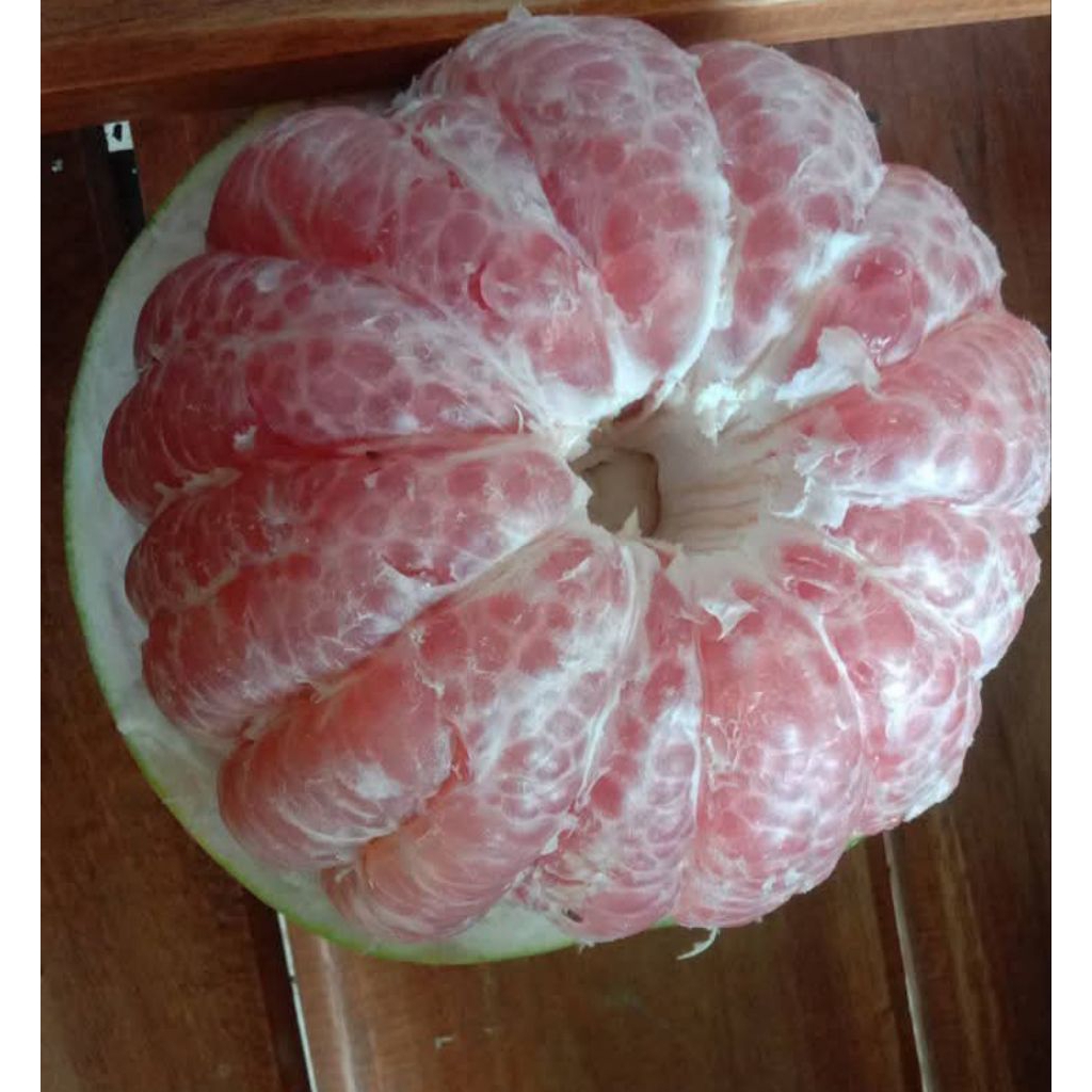 

jeruk pamelo madu muria jumbo berat 2,5-3kg