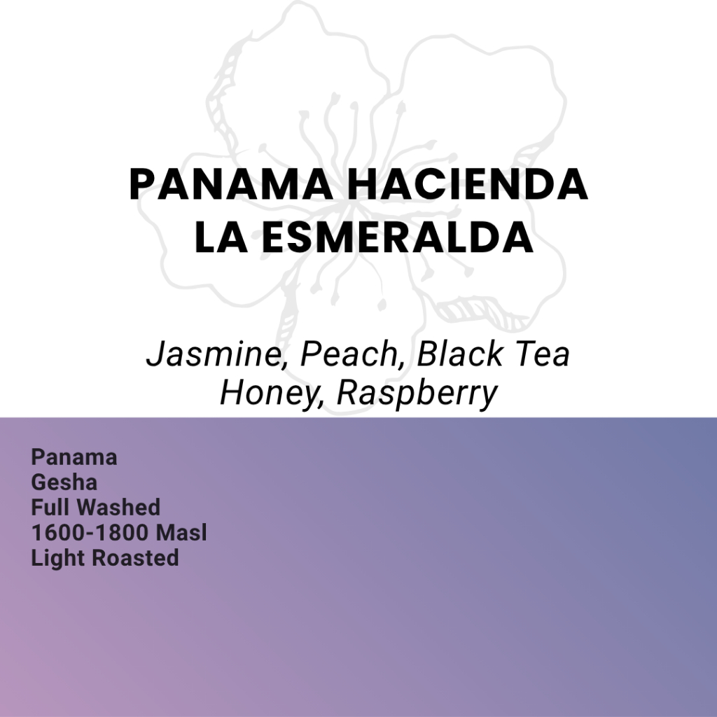 

Kopi Arabika Panama Hacienda La Esmeralda - Single Origin Filter