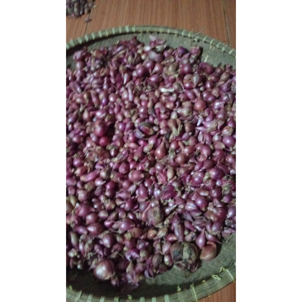 

BAWANG MERAH KERING 1 kg