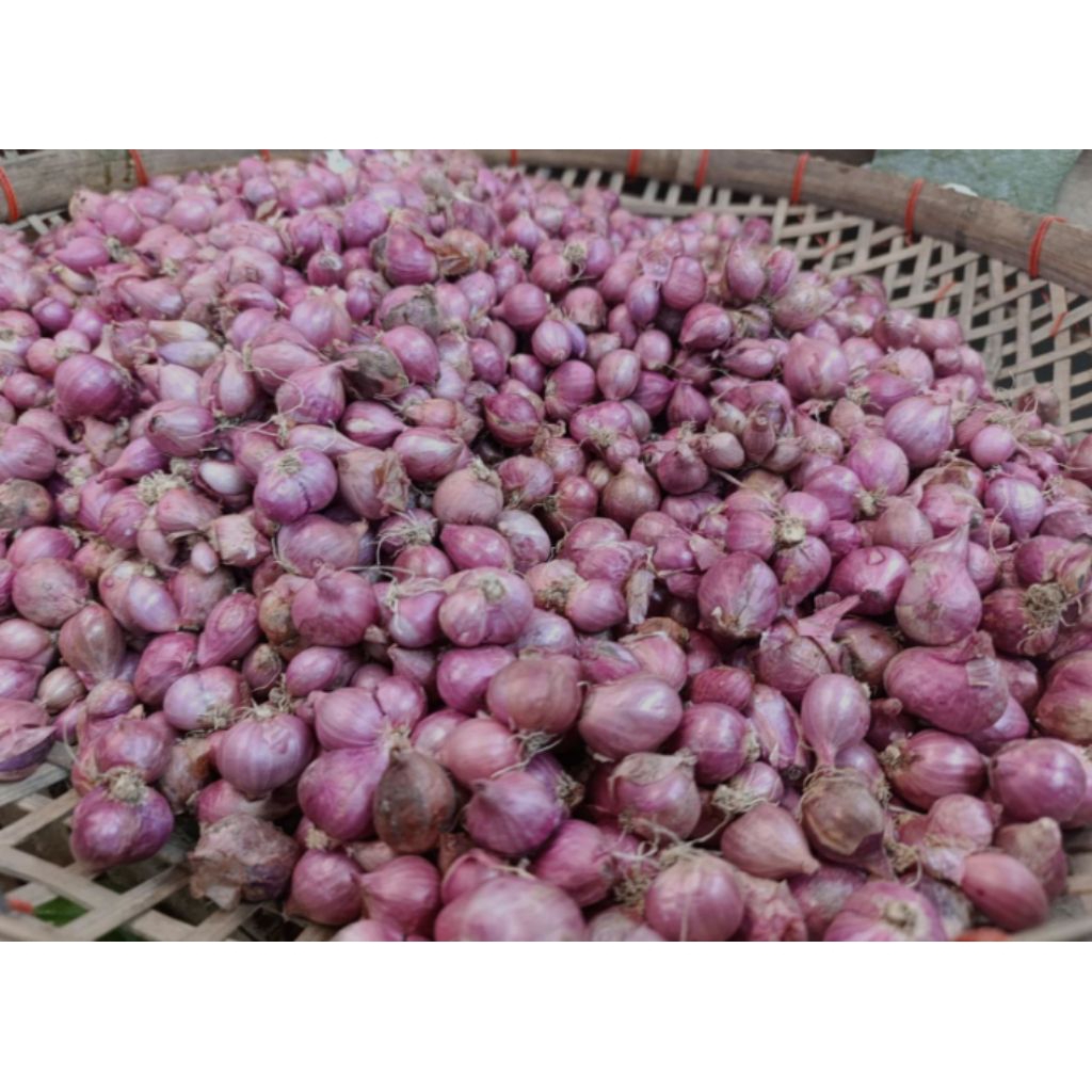 

bawang merah asli nganjuk