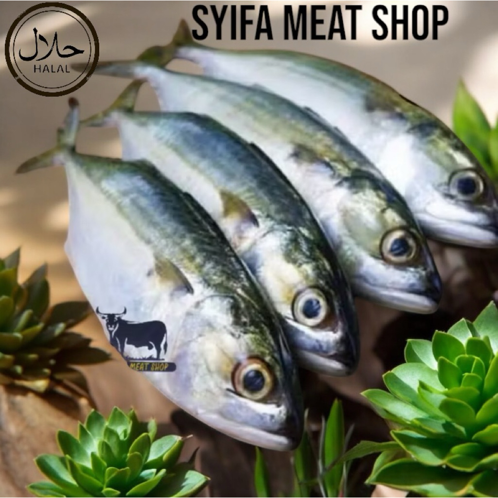 

ikan kembung Frozen 1kg mantap