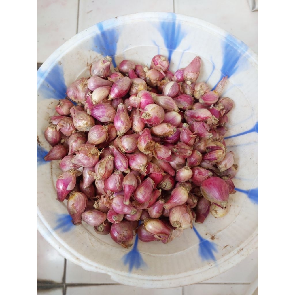 

Bawang Merah Sedang Kecil (LOKAL)