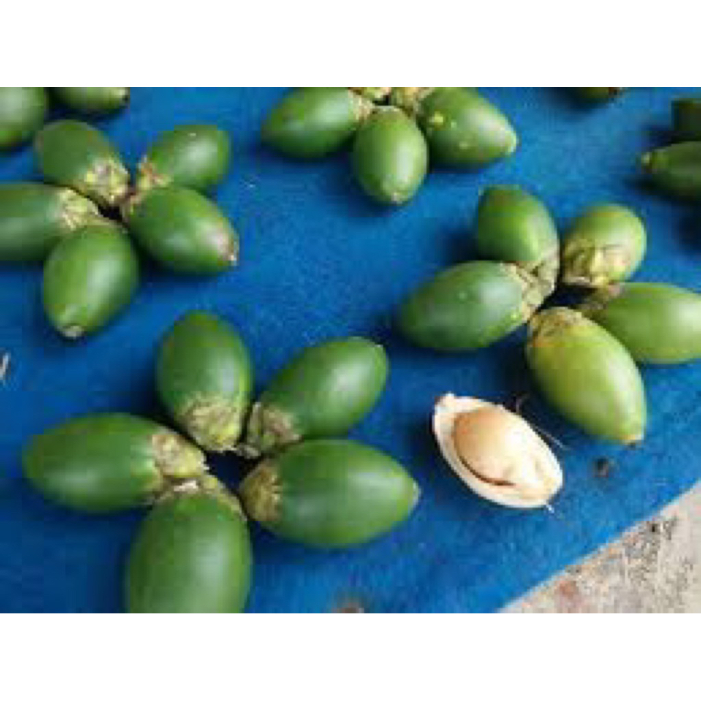 

pinang Muda Fresh Herbal Stamina 1kg