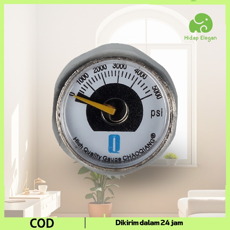 Kompresor Pcp 5000 Psi Pompa Pcp Sparpart Manometer Pcp 5000 Psi Ukuran M10 Manometer Od 25 Manomete