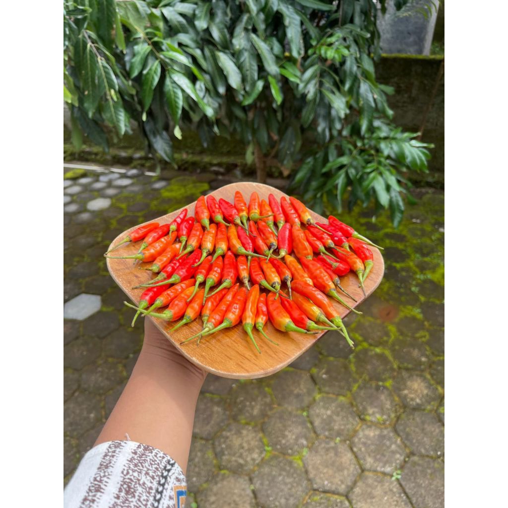

CABE RAWIT MERAH SUPER 1KG/500GR