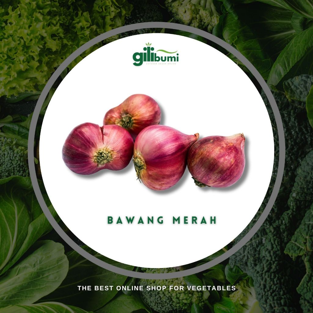 

Bawang Merah
