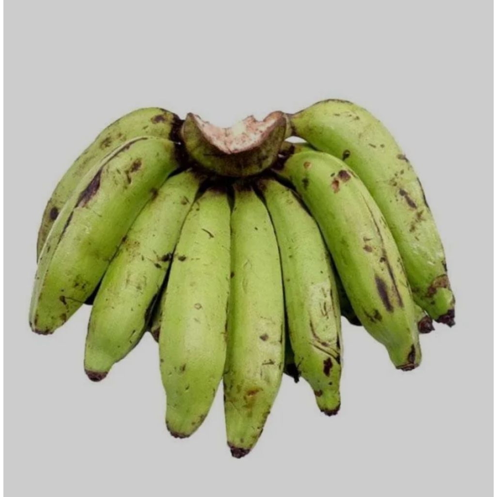 

Buah Pisang Nangka Segar Digoreng Mengkal Mateng.