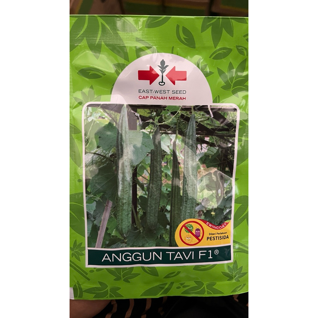 AGGUN TAVI F1 BENIH OYONG GAMBAS PANAH MERAH