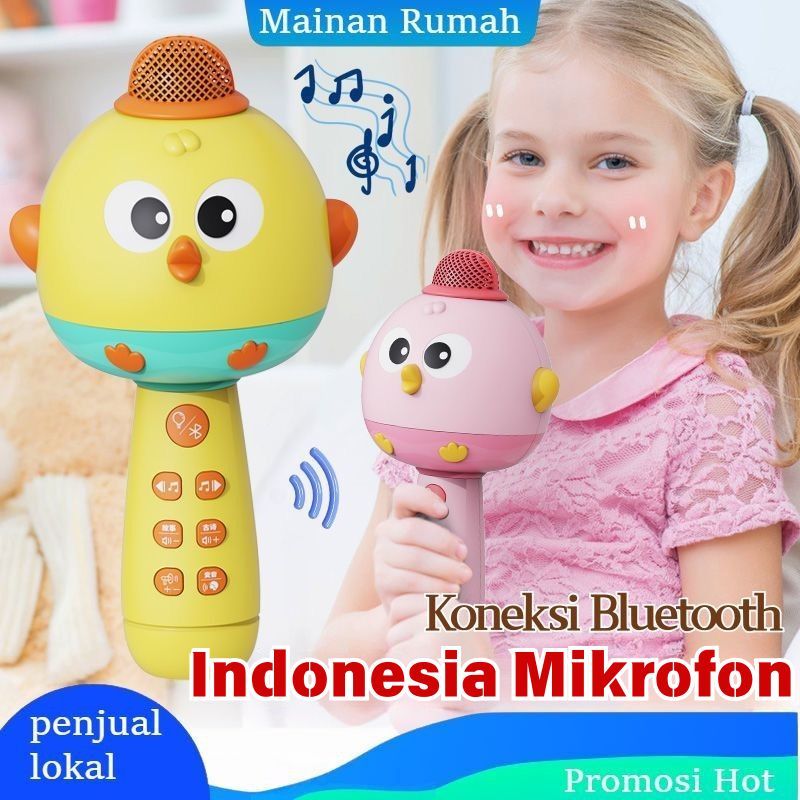 Terlaris Local Delivery Indonesia Mikrofon speaker kecil anak mikrofon terintegrasi anak karaoke