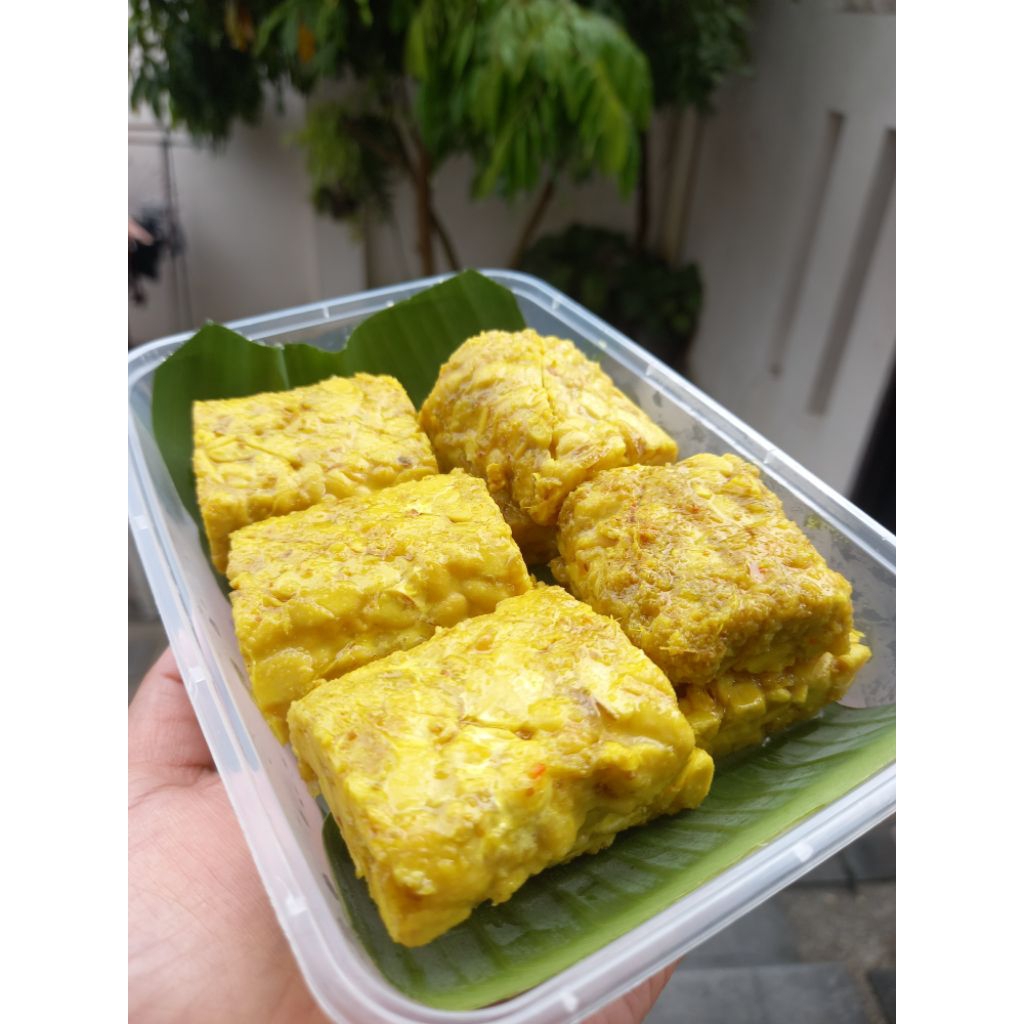 

KIRIM INSTAN TEMPE UNGKEP BUMBU KUNING ISI 10 POTONG/PACK