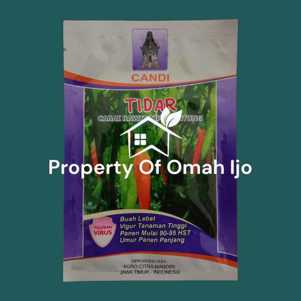 Cabe Tidar Kemasan 10gr Tahan Virus Original Pabrik