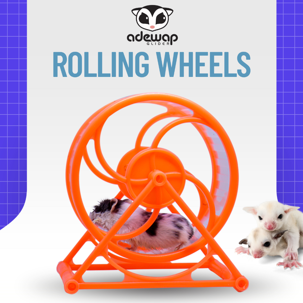 ADEWAP GLIDER Rolling Wheel Exerise 8 Sweet Mainan Sugar Glider