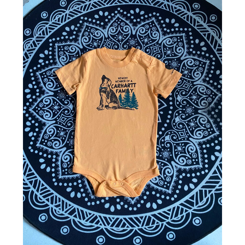 jumper carhartt anak