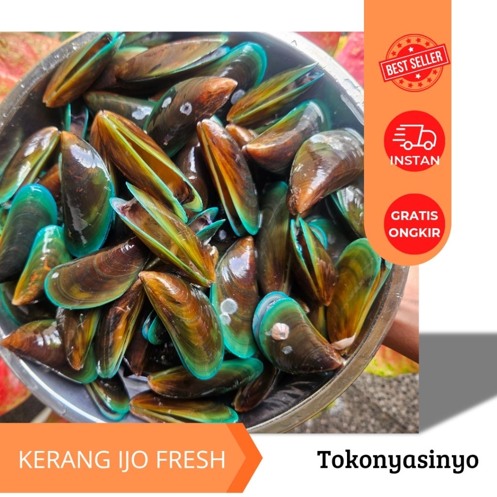 

Kerang Ijo Fresh Beku — Segar & Siap Olah
