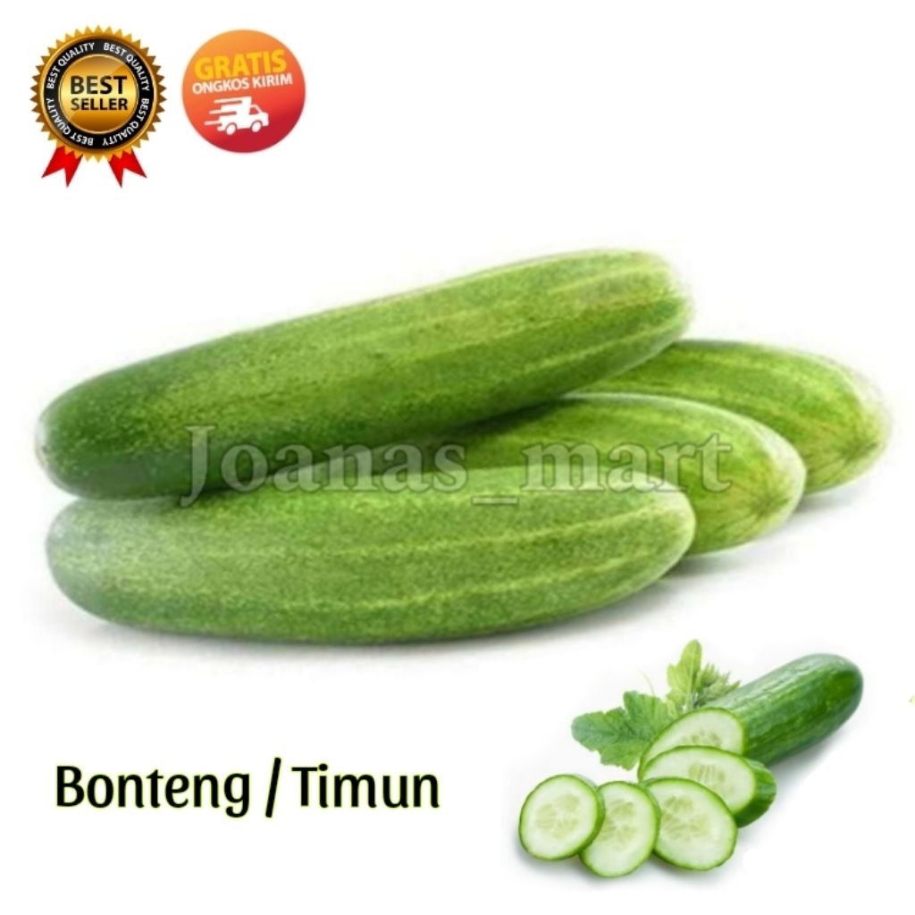 

Timun / Bonteng lalapan fresh Bandung 1 kg