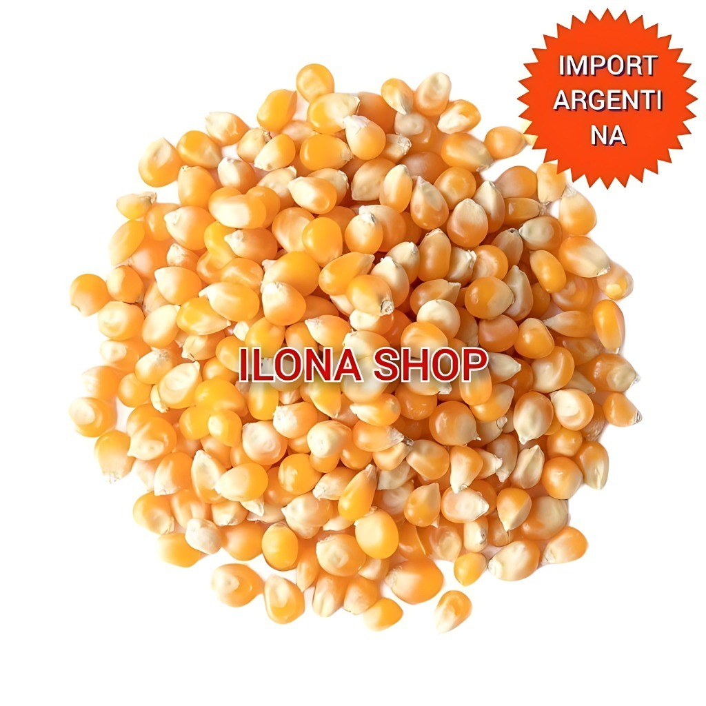 

BIJI JAGUNG POPCORN MENTAH IMPORT 1KG / JAGUNG BERONDONG BRONDONG 1 KG