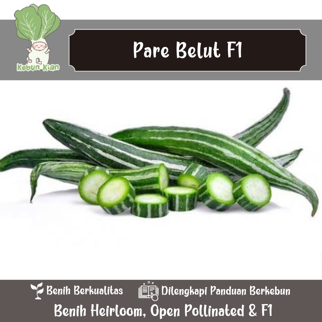 4 Biji - Benih Pare Belut F1.