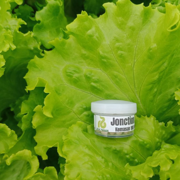 KODE S4F Benih Selada RZ Jonction RZ Junction 1 Butir  Pills Bibit Selada RZ Flo Hidroponik