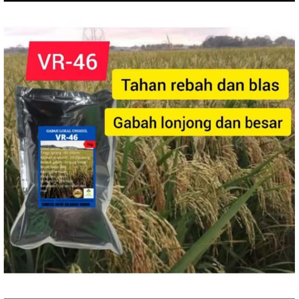 benih padi VR 46 1KG
