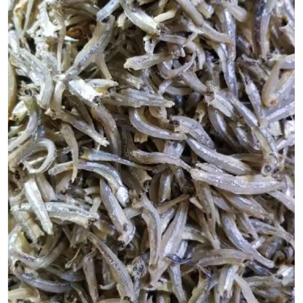 

teri jengki kemasan 10rb