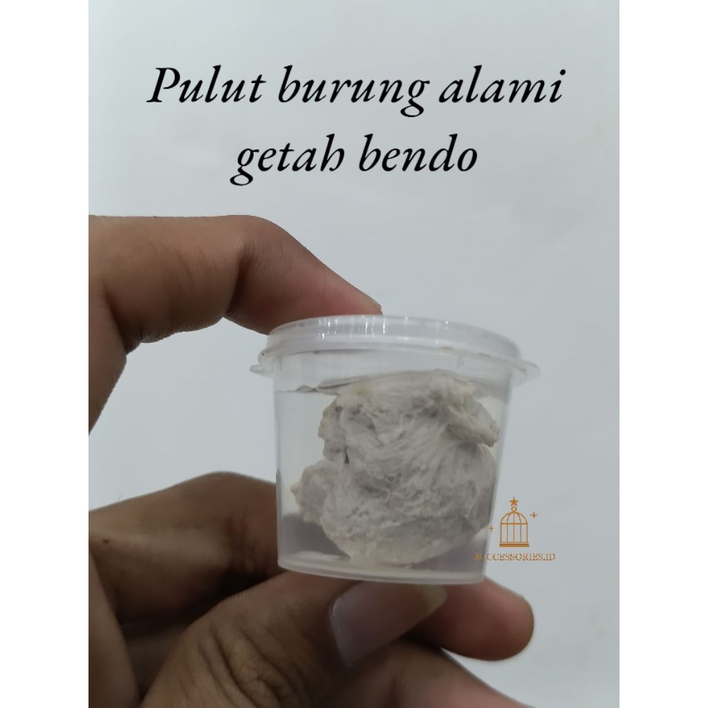 PULUT ALAMI LEM BURUNG SUPER LENGKET