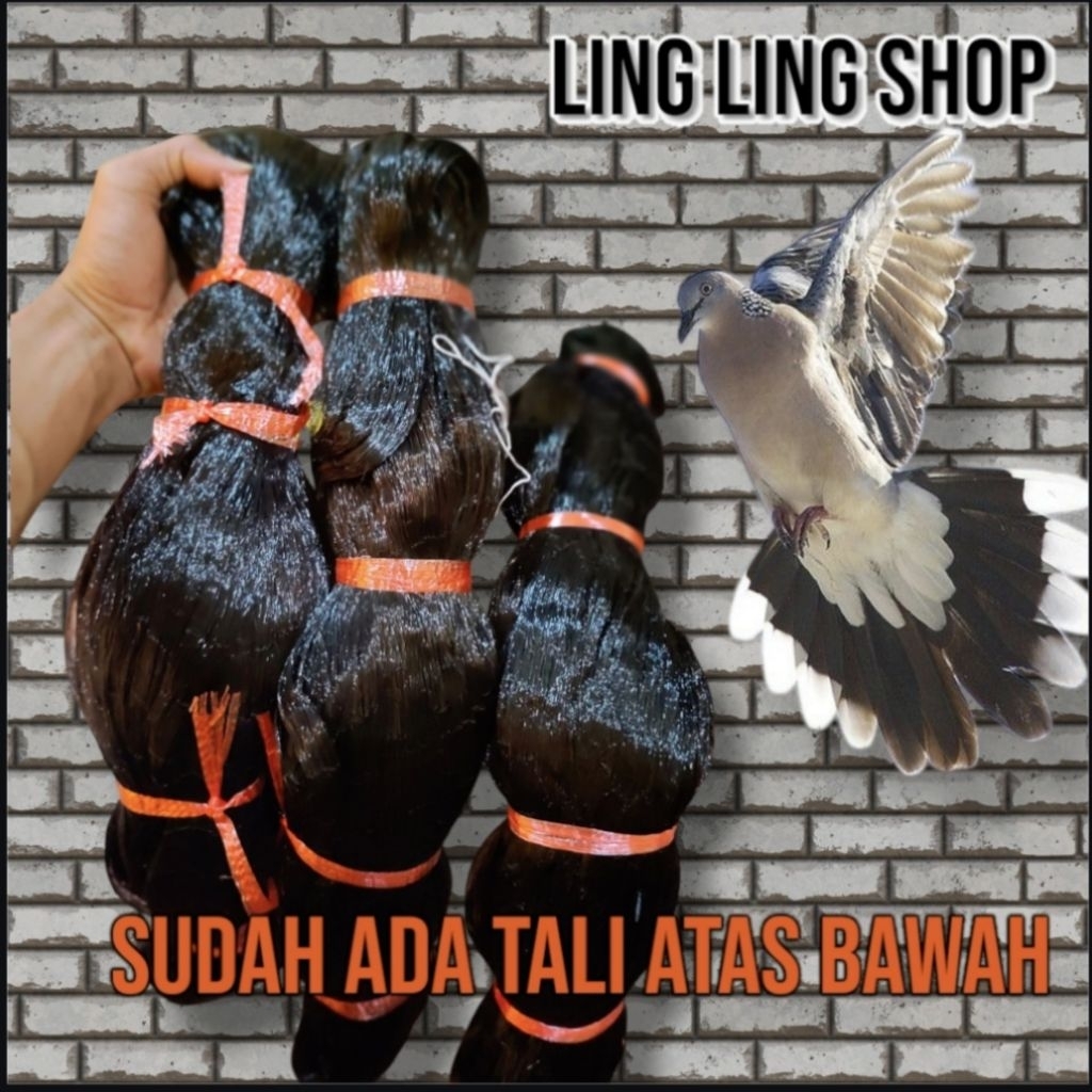 JARING BURUNG PERKUTUT PANJANG 50 METER X 2 METER - JARING BRANJANG PERKUTUT