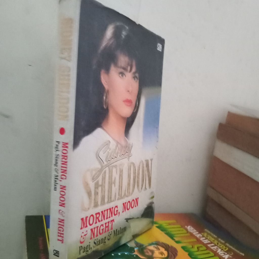 novel sidney  sheldon morning,noon&night