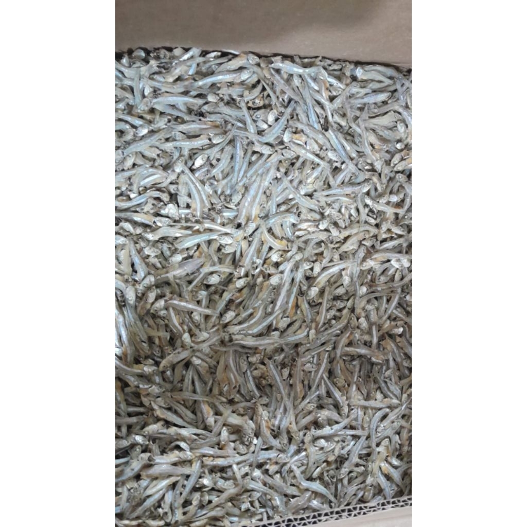 

TERI JK TAWAR harga 65 RB x berat 6KG perkotak