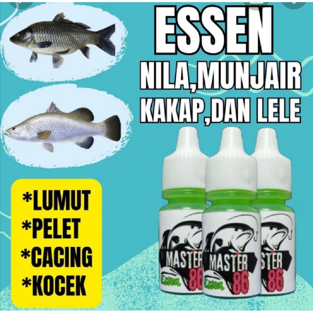 essen master86 paling gacor cair 15mli buat umpan ikan .seperti lele.munjair .kakap.sembilang.tomang