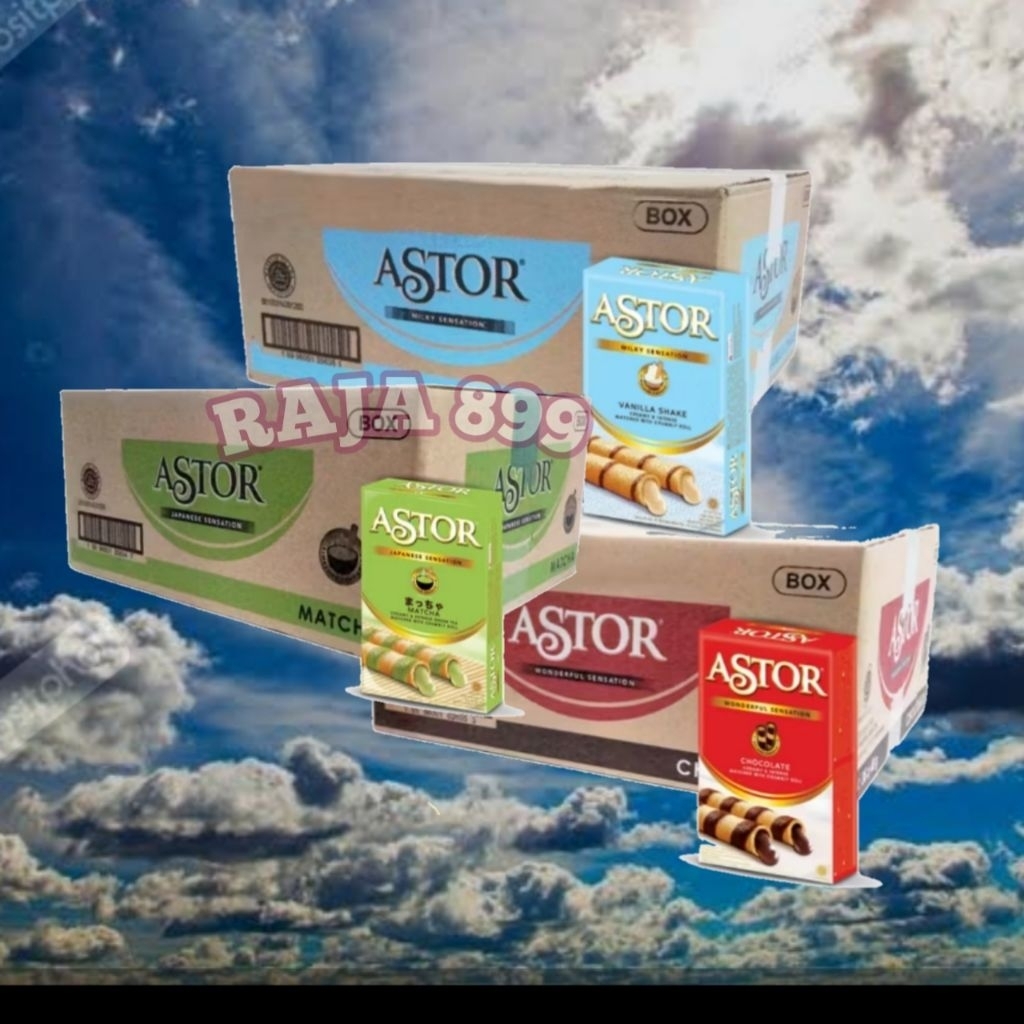 

ASTOR WAFER STICK DUS | KARTON ISI 36 pcs X 40GR SEMUA VARIAN