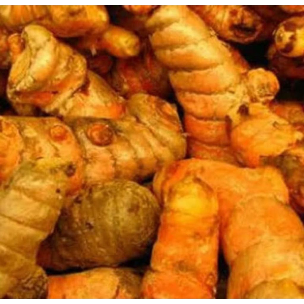 

kunyit kuning bumbu masak/herbal 1000 gram