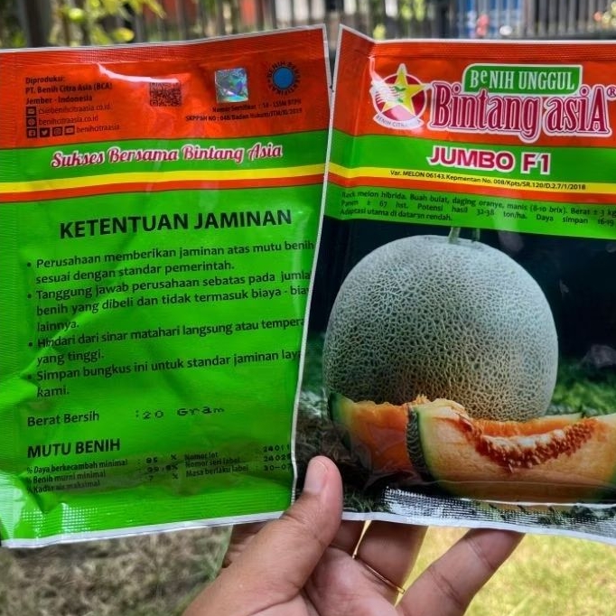 Benih Melon Jumbo f1 Bintang Asia 20g