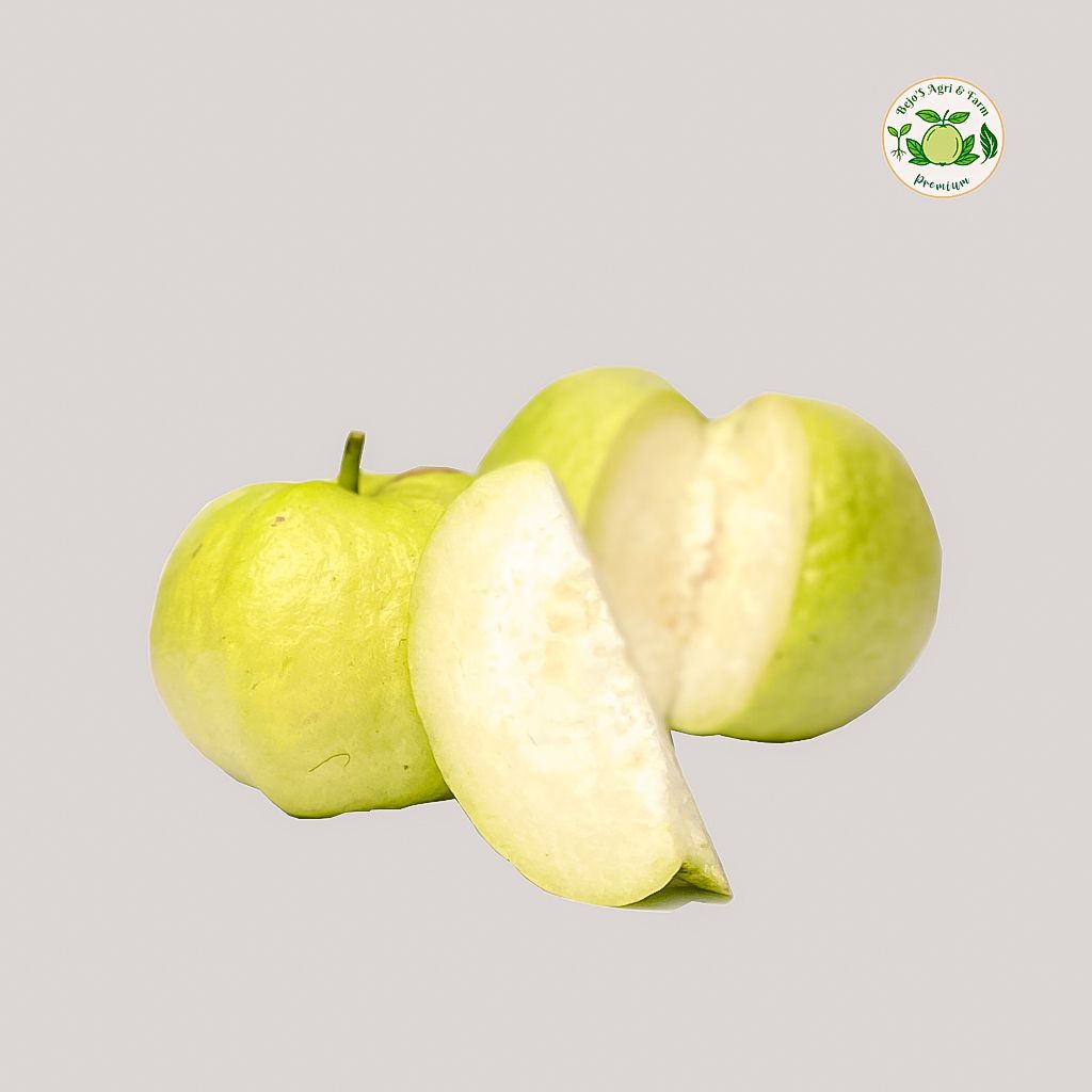 

Jambu Kristal Fresh Kebumen Grade super mix (size besar dan medium isi 5-6 butir per kilogram)