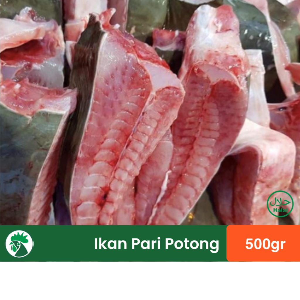 

Ikan Pari Besar Potong 500gr | Ikan Laut