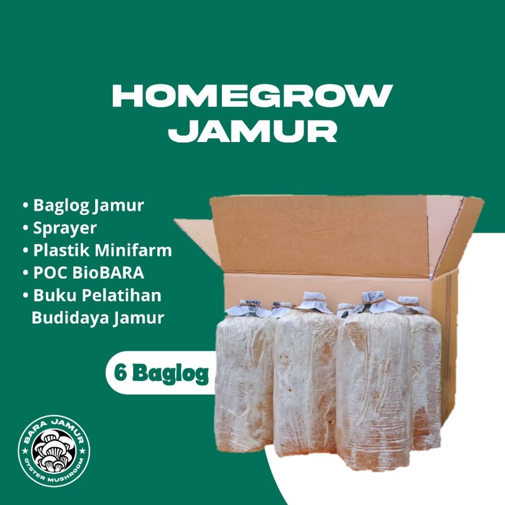 

Paket Budidaya Jamur (Homegrow Jamur) 6 Baglog