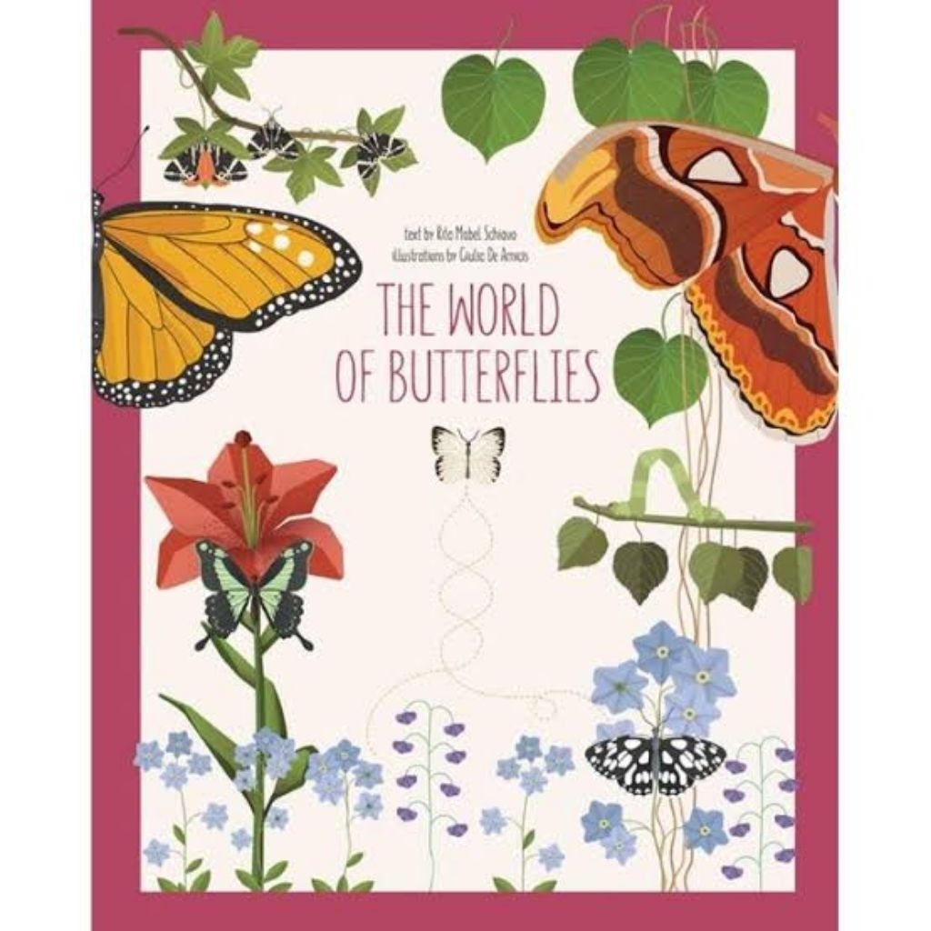 Buku Hardcover The World of Butterflies