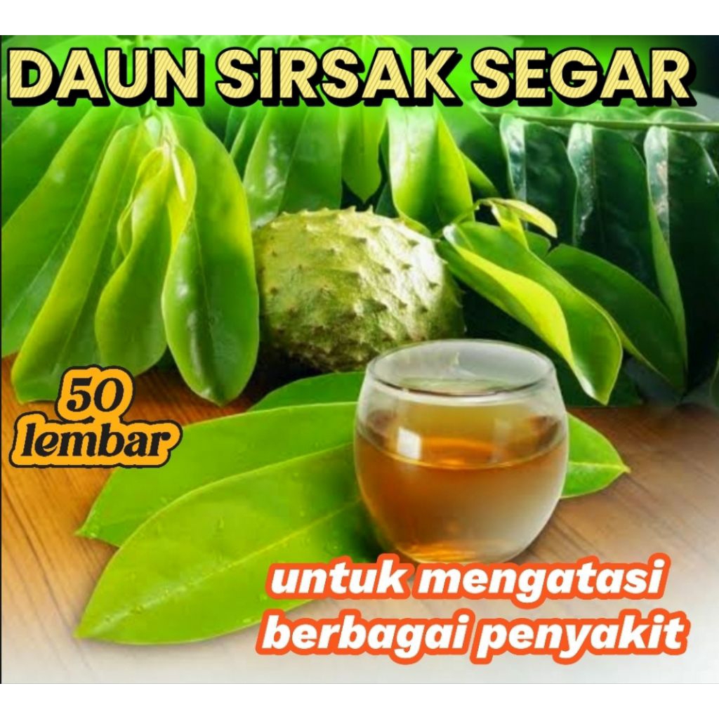 

DAUN SIRSAK SEGAR ORGANIK PENGOBATAN BERBAGAI PENYAKIT ISI 50 LEMBAR